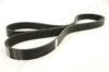 ASHIKA 112-6PK1675 V-Ribbed Belts